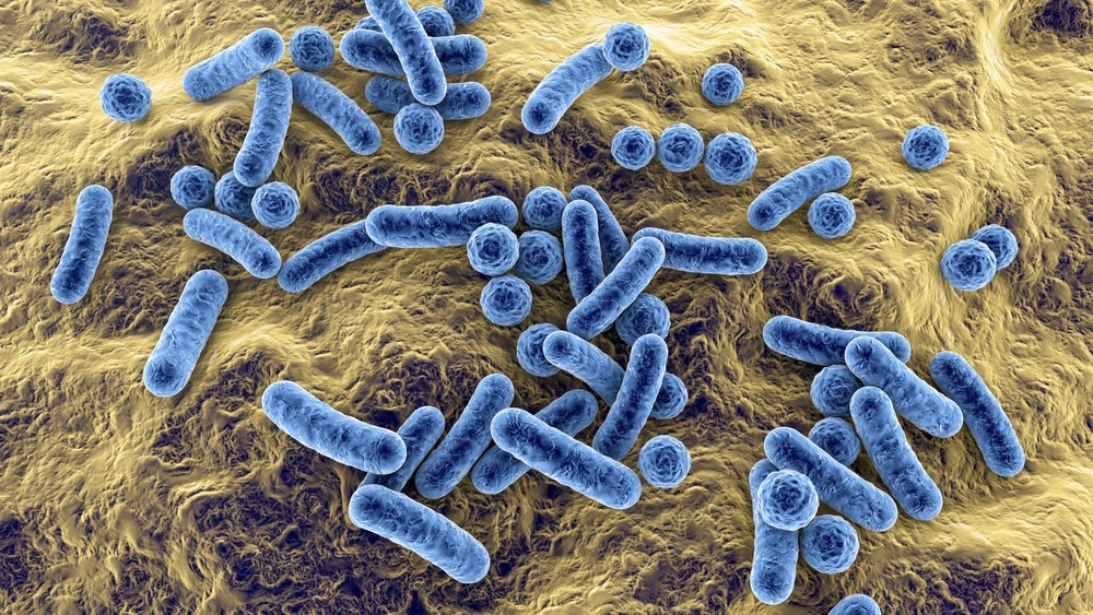 Study: Global incidence in hospital-associated infections resistant to antibiotics: An analysis of point prevalence surveys from 99 countries. Image Credit: Kateryna Kon/Shutterstock.com