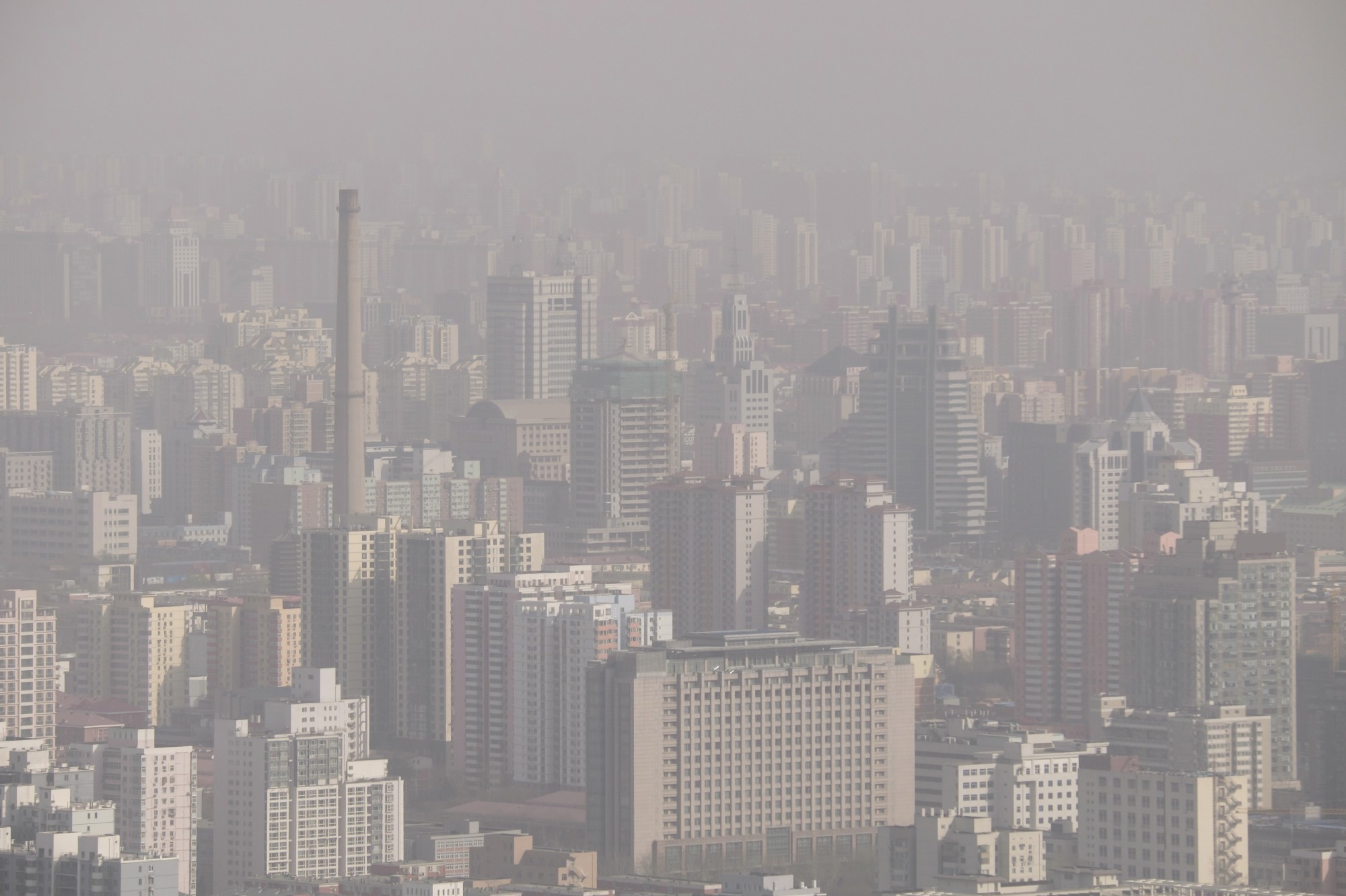 Study: Long-term exposure to air pollution and risk of SARS-CoV-2 infection and COVID-19 hospitalization or death: Danish nationwide cohort study. Image Credit: designbydx/Shutterstock.com