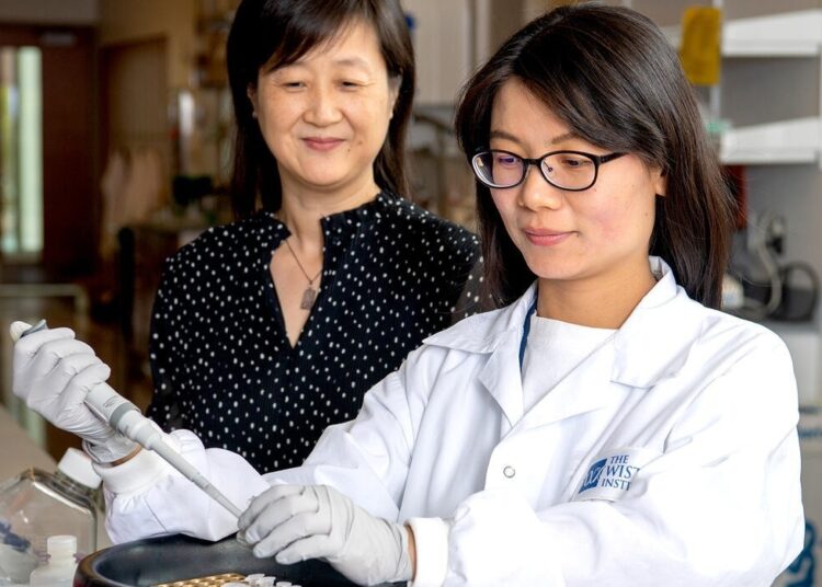 Breakthrough discovery could lead to new treatments for brain metastases