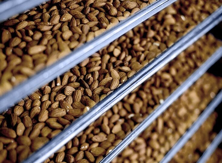 Vieillissement : une alimentation modérée en protéines pourrait-elle être la clé de la jeunesse ?