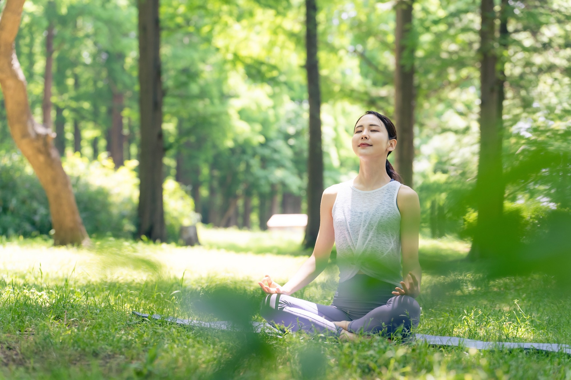 Study: Associations between residential greenspace exposure and mortality in 4 645 581 adults living in London, UK: a longitudinal study. Image Credit: metamorworks / Shutterstock.com