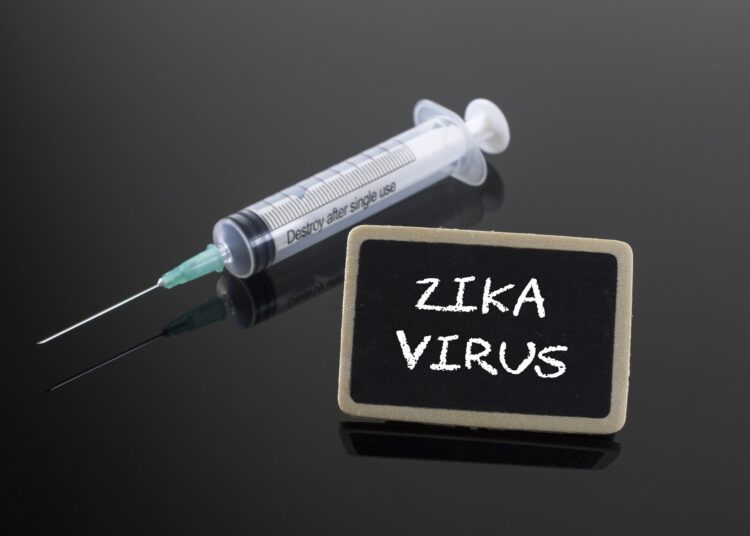 Study: Safety and immunogenicity of a purified inactivated Zika virus vaccine candidate in adults primed with a Japanese encephalitis virus or yellow fever virus vaccine in the USA: a phase 1, randomised, double-blind, placebo-controlled clinical trial. Image Credit: AzriSuratmin/shutterstock.com