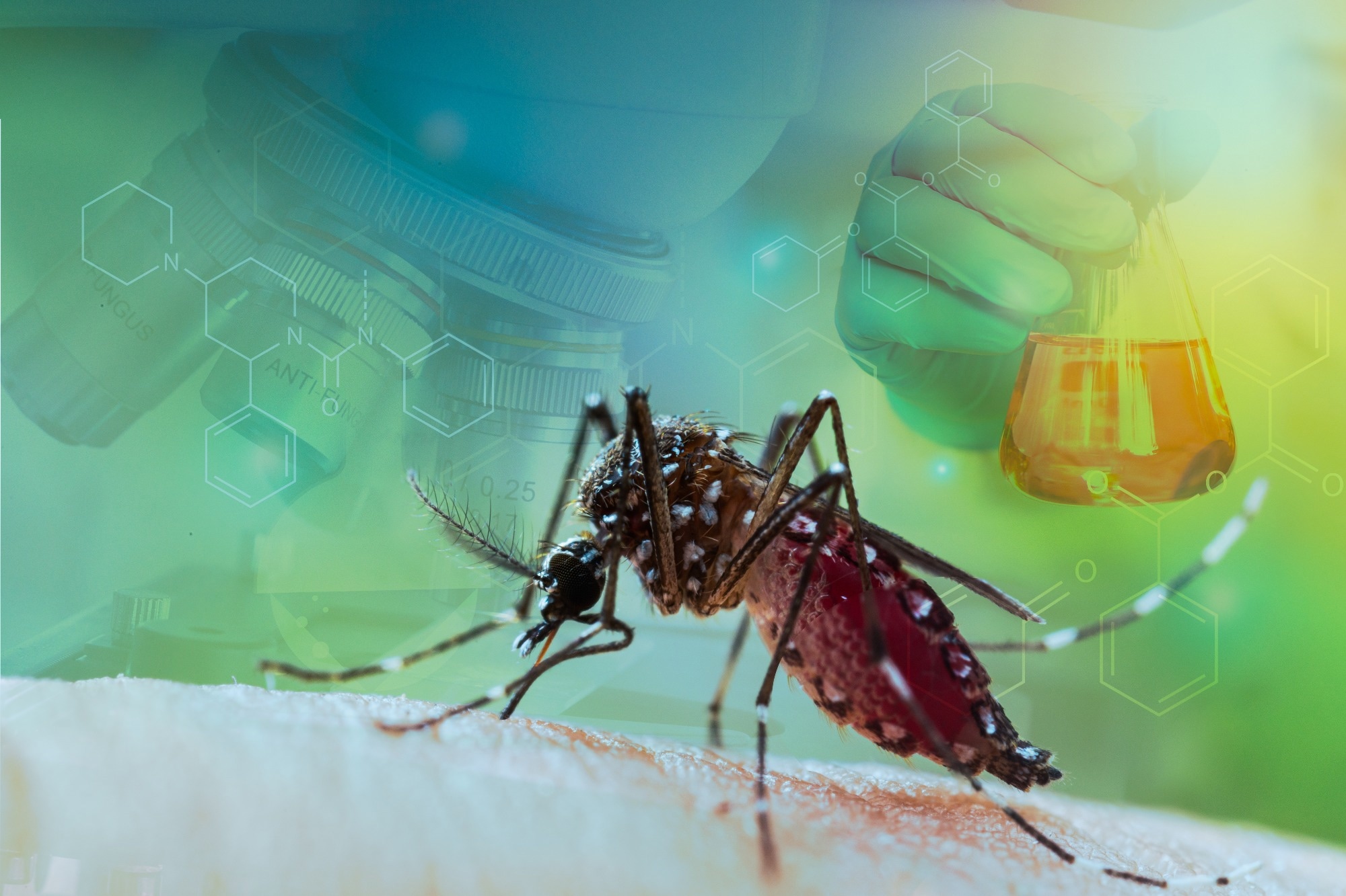 Study: Assessing Yellow Fever Outbreak Potential and Implications for Vaccine Strategy. Image Credit: frank60/Shutterstock.com