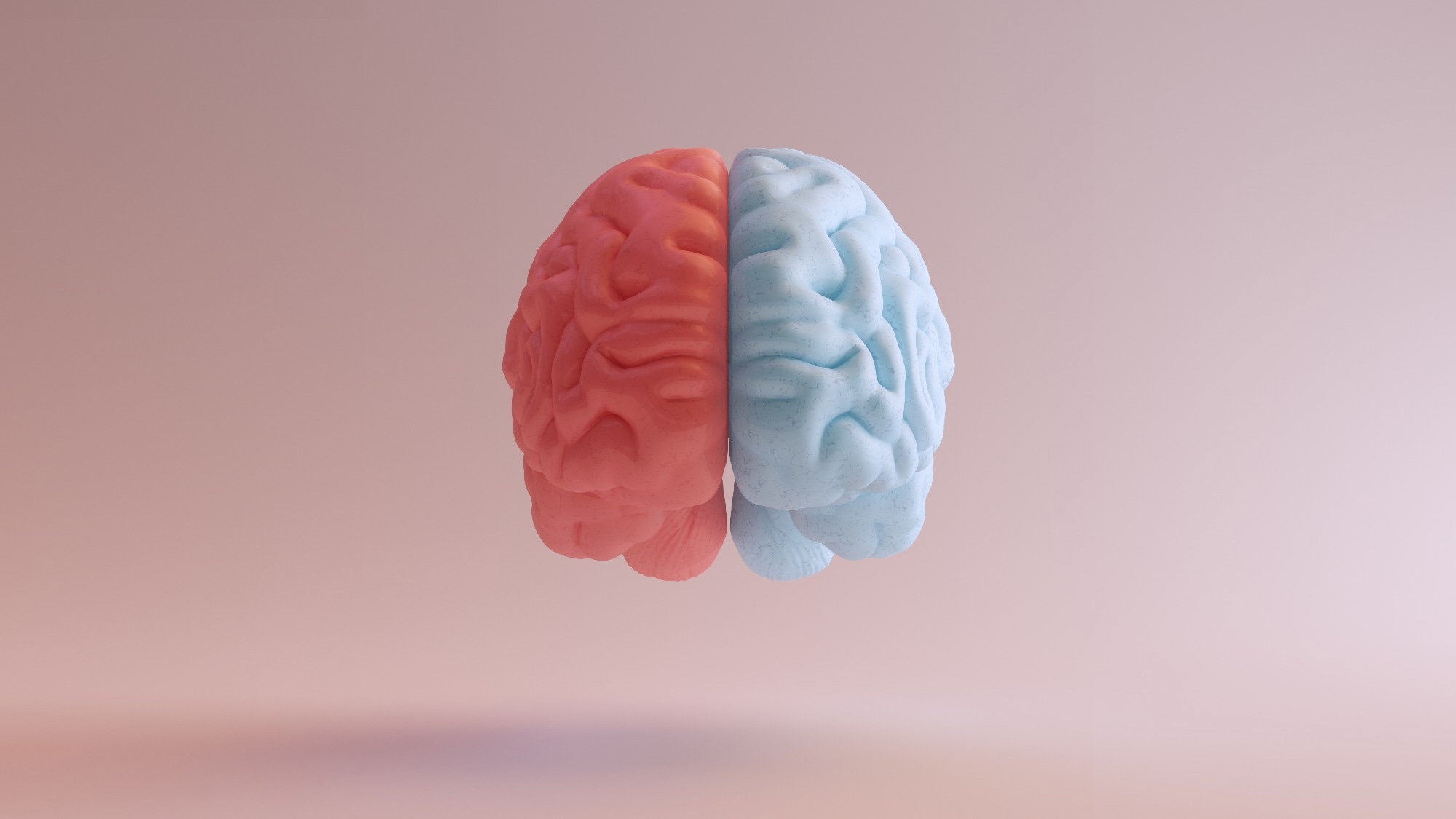 Study: From fossils to mind. Image Credit: 80