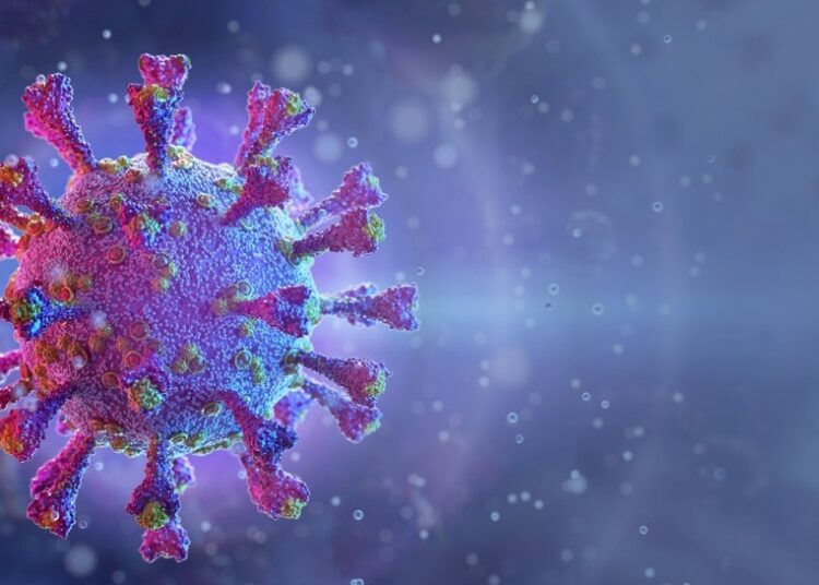 Study: The role of trained immunity in COVID-19: Lessons for the next pandemic. Image Credit: Corona Borealis Studio/Shutterstock.com