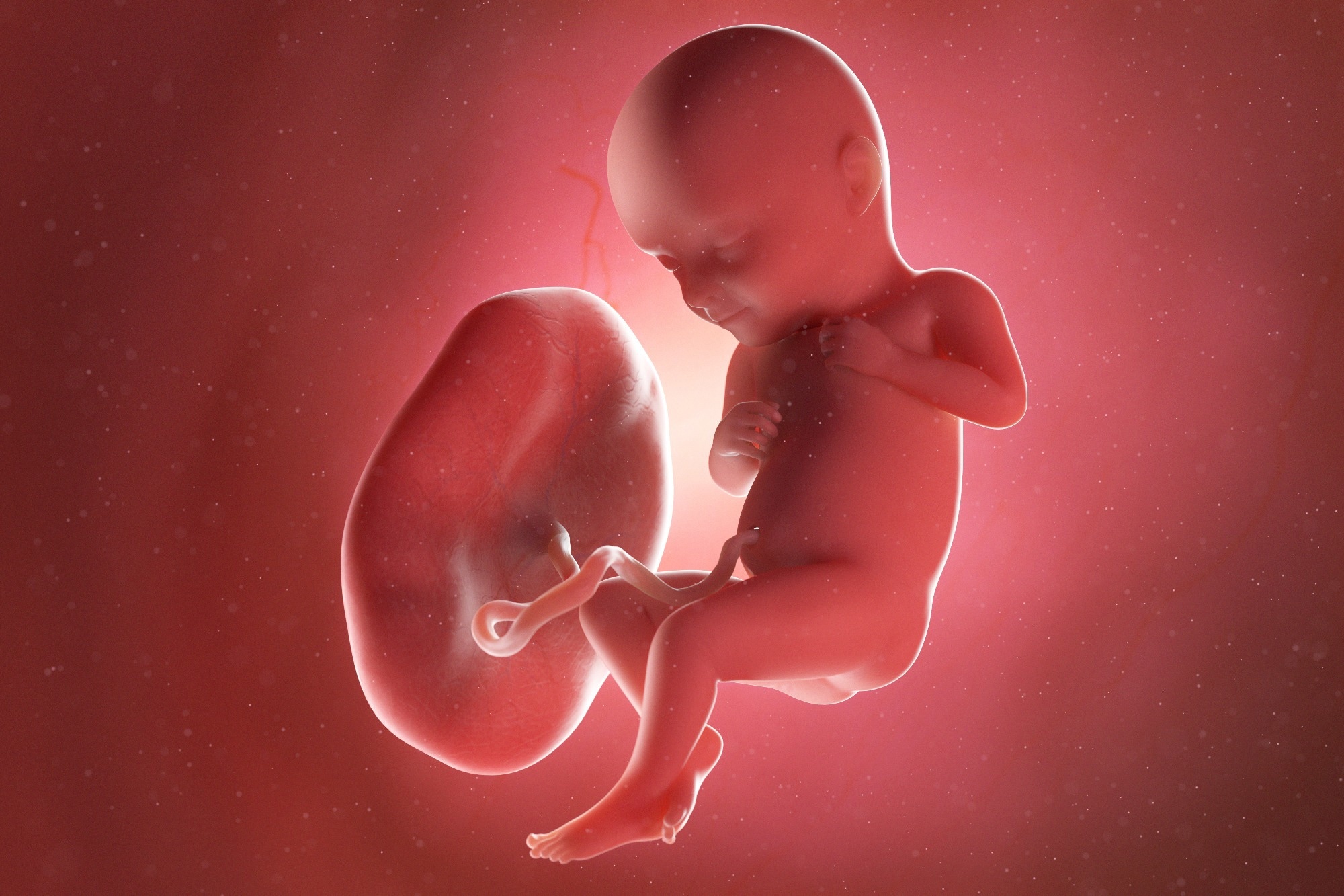 Comment le SRAS-CoV-2 affecte-t-il le placenta pendant la grossesse ?