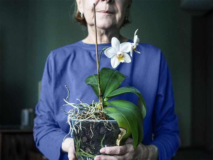 La thérapie génique CRISPR pourrait-elle aider à traiter la maladie d'Alzheimer ?