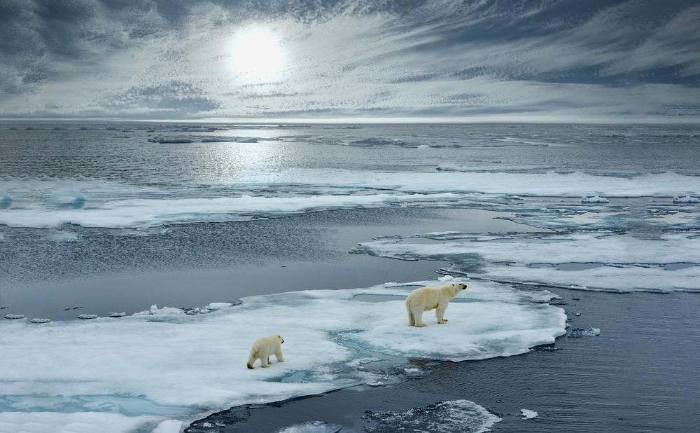 Study: Generational differences in climate-related beliefs, risk perceptions and emotions in the UK. Image Credit: FloridaStock/Shutterstock.com