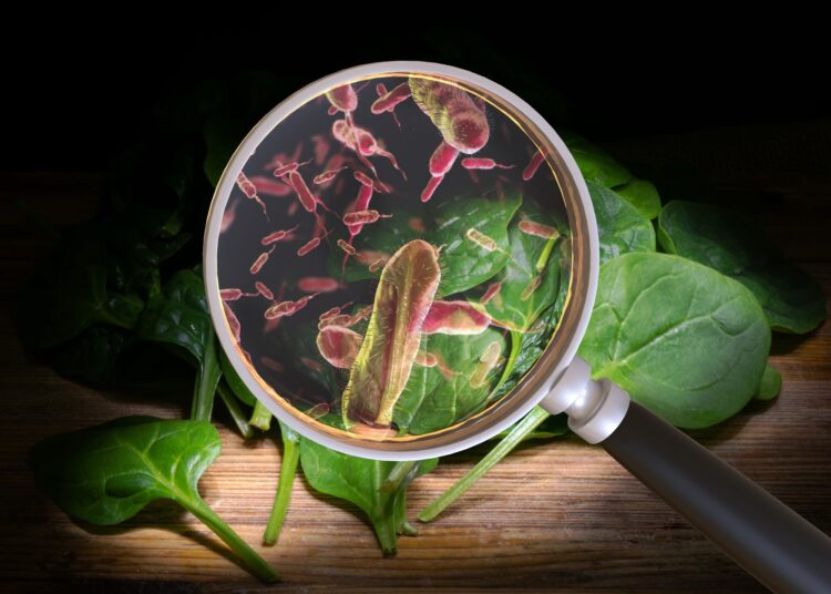 Study: Preliminary Incidence and Trends of Infections Caused by Pathogens Transmitted Commonly Through Food — Foodborne Diseases Active Surveillance Network, 10 U.S. Sites, 2022. Image Credit: Giovanni Cancemi / Shutterstock.com