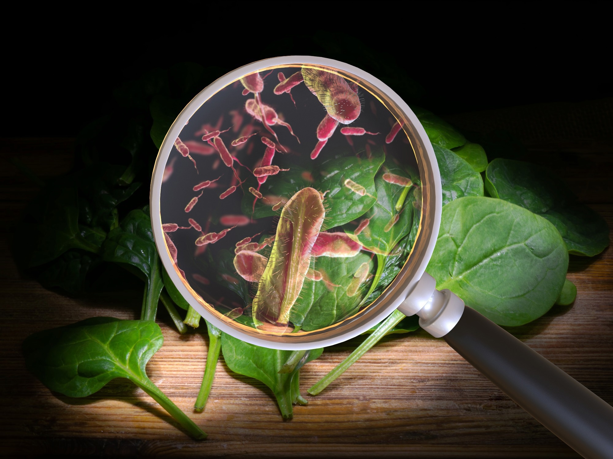 Study: Preliminary Incidence and Trends of Infections Caused by Pathogens Transmitted Commonly Through Food — Foodborne Diseases Active Surveillance Network, 10 U.S. Sites, 2022. Image Credit: Giovanni Cancemi / Shutterstock.com