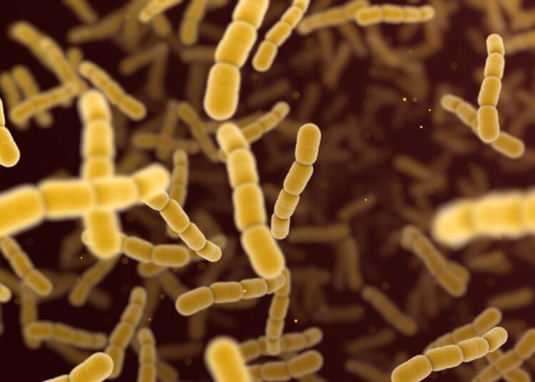 Study: Increase in invasive group A streptococcal infections and emergence of novel, rapidly expanding sub-lineage of the virulent Streptococcus pyogenes M1 clone, Denmark, 2023. Image Credit: Jezper/Shutterstock.com