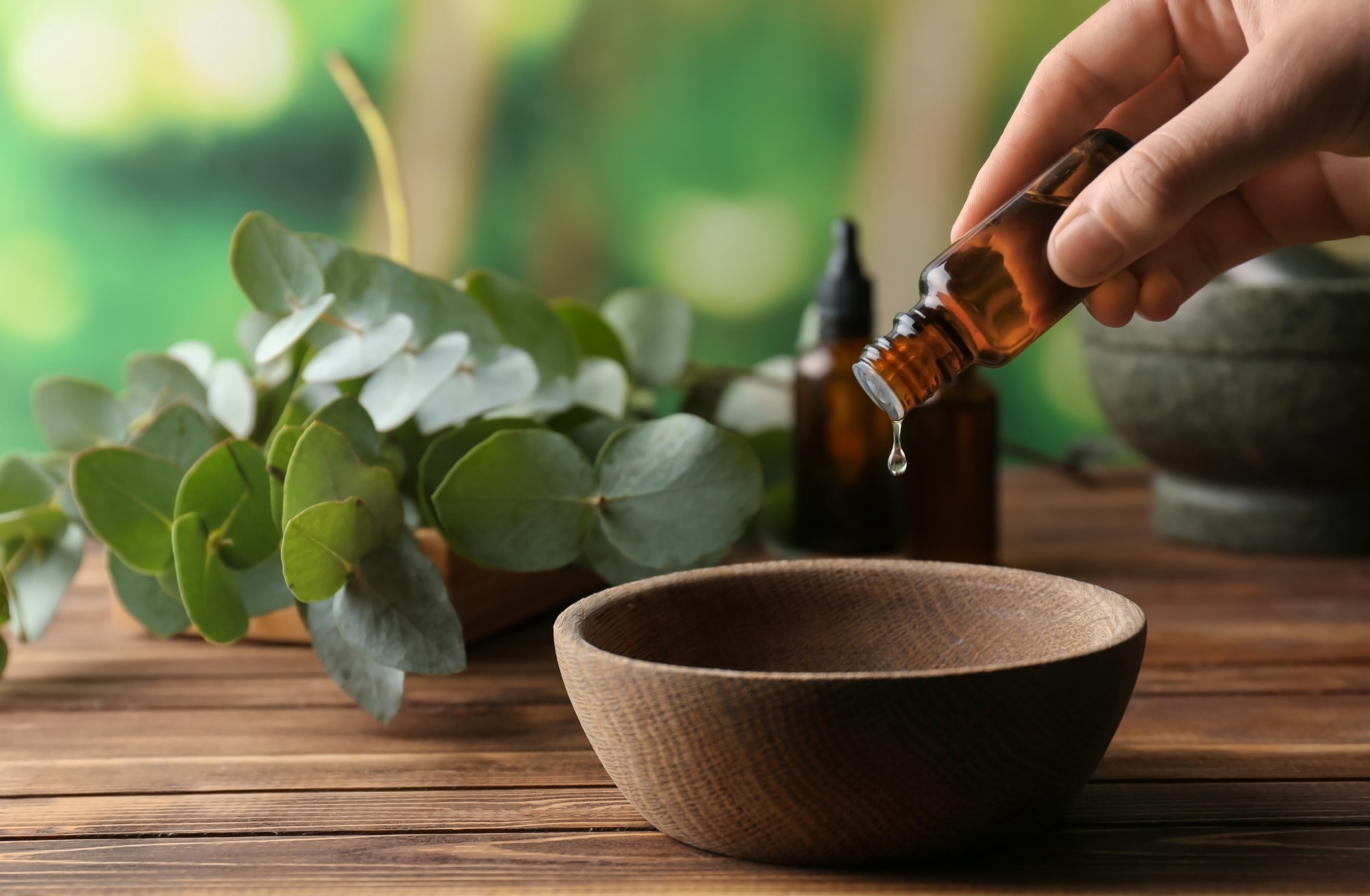 Une étude examine les propriétés antibactériennes des huiles essentielles de cannelle et d'eucalyptus par rapport à leurs principaux composés isolés