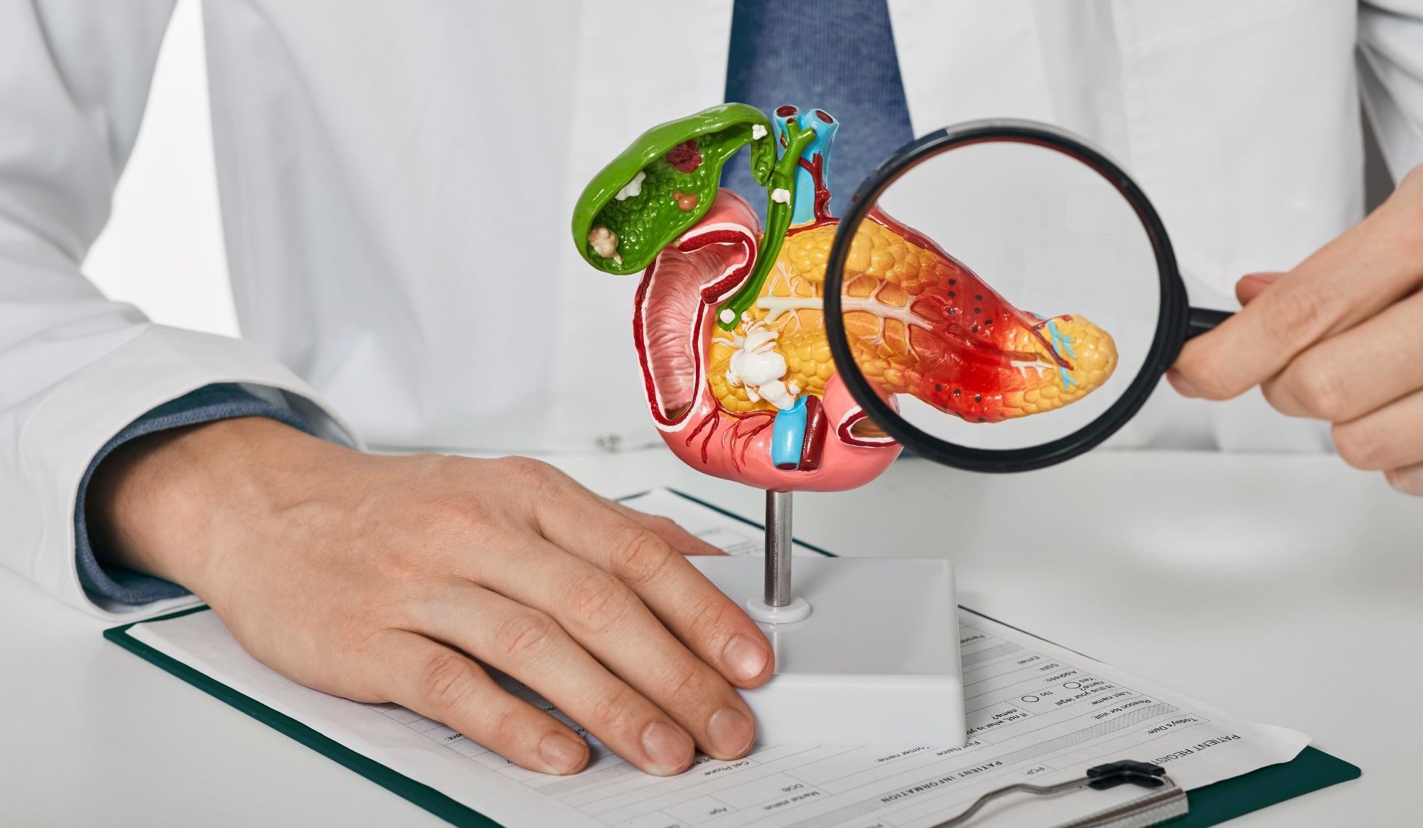 Study: Measuring anti-islet autoimmunity in mice and human by profiling peripheral blood antigen-specific CD4 T cells. Image Credit: Peackstock / Shutterstock.com