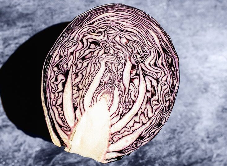 Le "centre de contrôle de l'appétit" du cerveau est différent chez les personnes en surpoids ou obèses