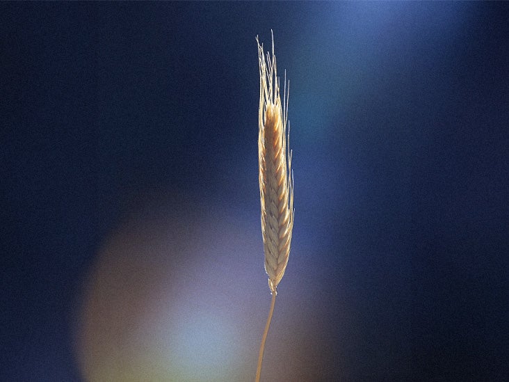 Le gluten peut contribuer à l'inflammation du cerveau, selon une étude sur la souris