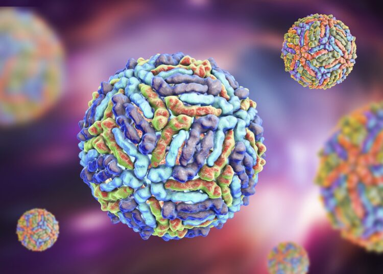 Study: West Nile Virus and Other Nationally Notifiable Arboviral Diseases — United States, 2021. Image Credit: Kateryna Kon / Shutterstock.com