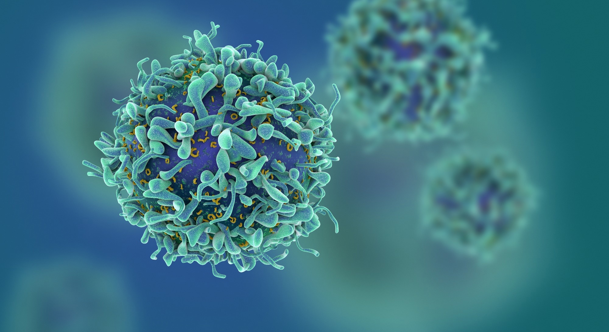 Study: Amphiregulin couples IL1RL1+ regulatory T cells and cancer-associated fibroblasts to impede antitumor immunity. Image Credit: fusebulb/Shutterstock.com