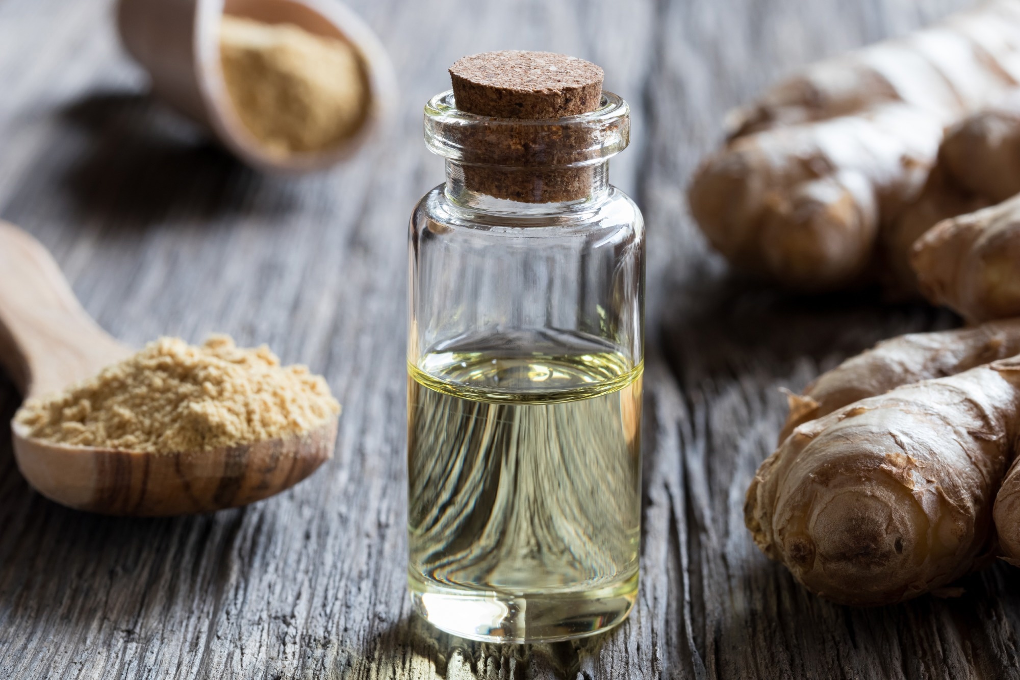 Progression de la stéatohépatite non alcoolique bloquée par l'huile essentielle de gingembre
