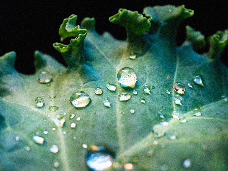 Une molécule dans les légumes crucifères pourrait-elle aider à protéger contre les infections pulmonaires ?
