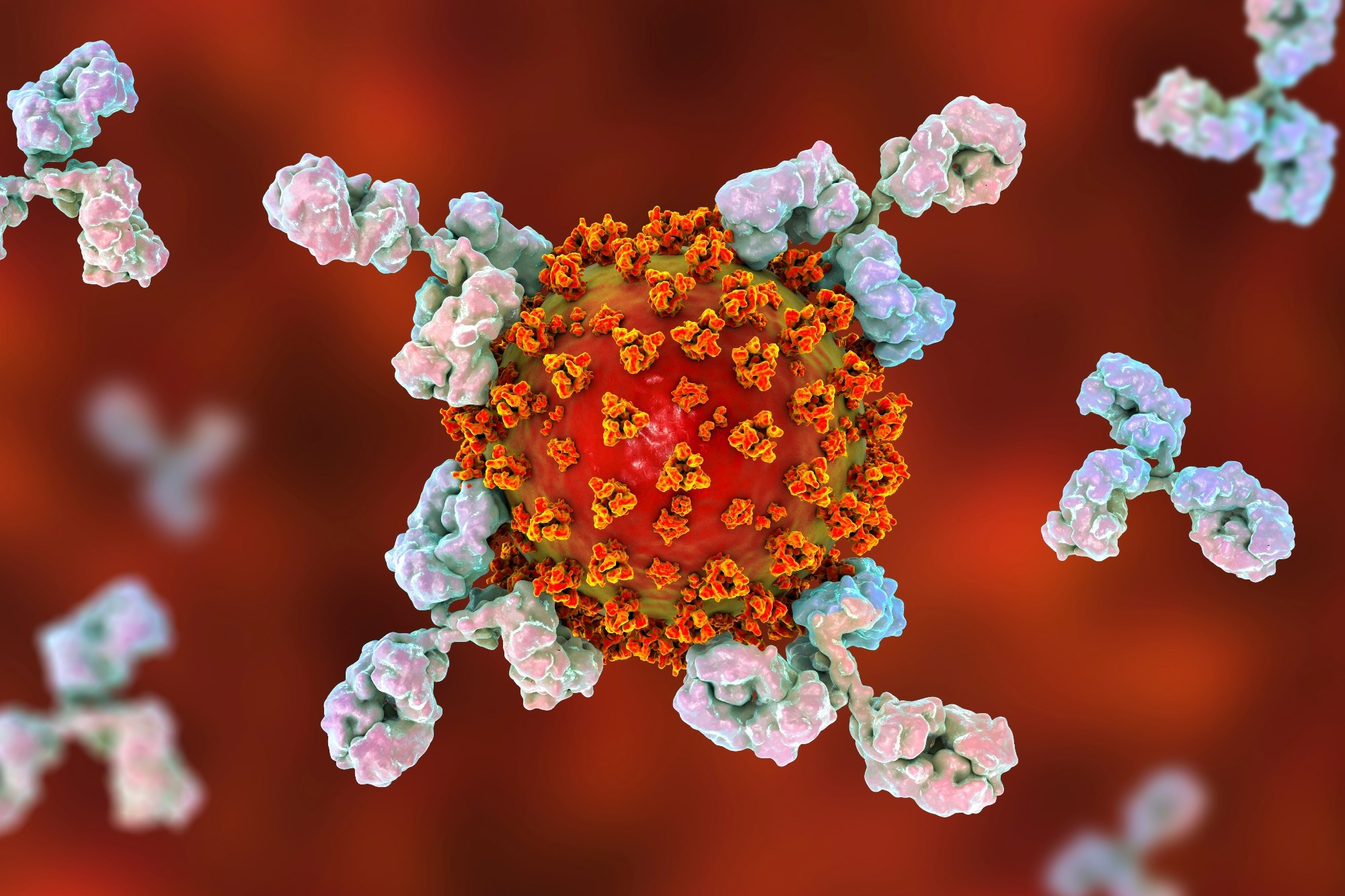 Study: SARS-CoV-2 variants evolve convergent strategies to remodel the host response. Image Credit: Kateryna Kon / Shutterstock
