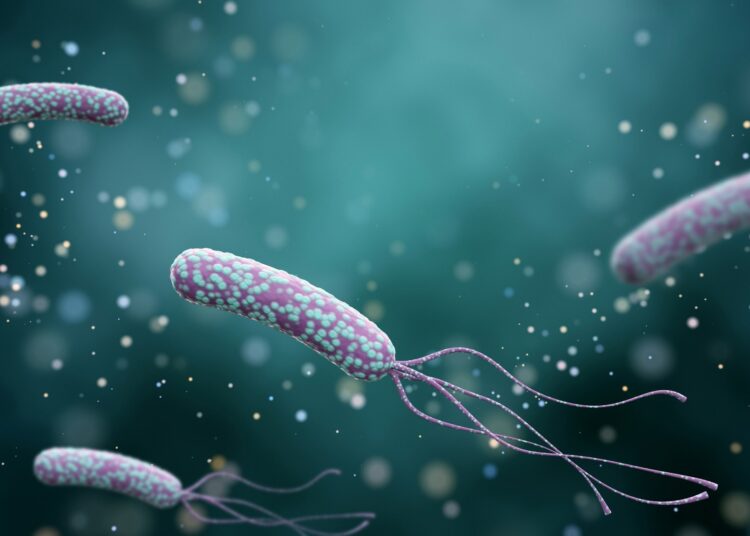 Study: Influence of Helicobacter pylori infection on risk of rheumatoid arthritis: a nationwide population-based study. Image Credit: K_E_N/Shutterstock.com