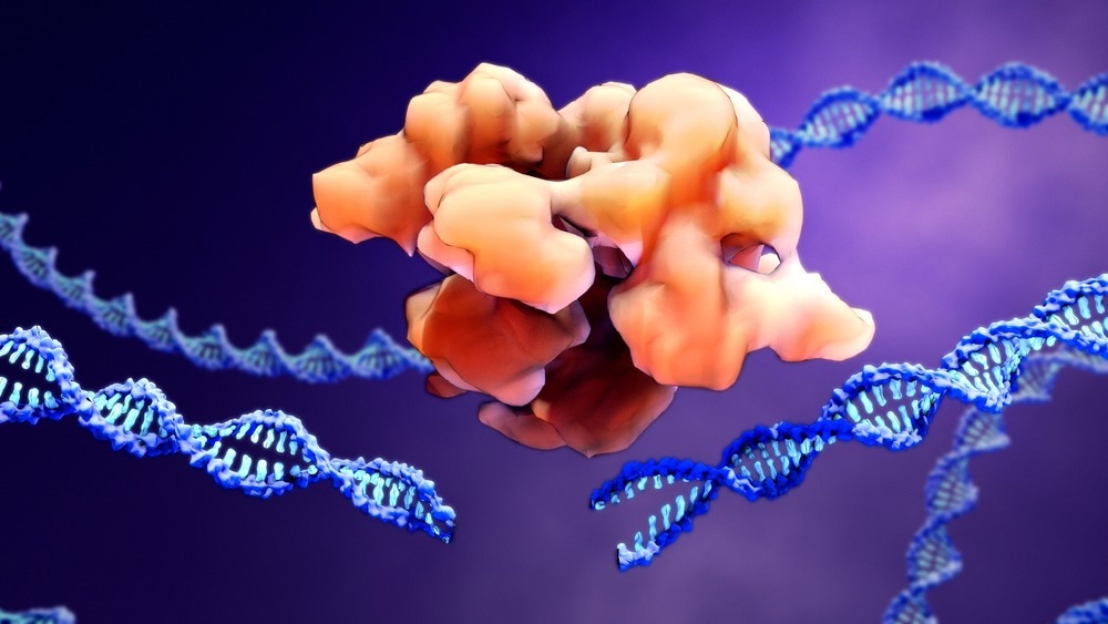Image Credit: Design_Cells/Shutterstock.com