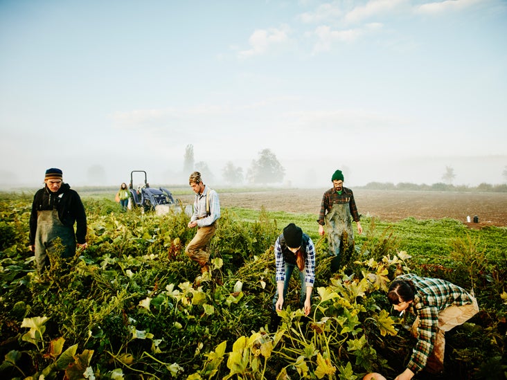 Emplois physiquement exigeants liés à un risque plus élevé de déficience cognitive
