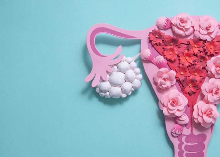 Study: Efficacy and safety of anti-androgens in the management of polycystic ovary syndrome: a systematic review and meta-analysis of randomised controlled trials. Image Credit: Alena Menshikova/Shutterstock.com