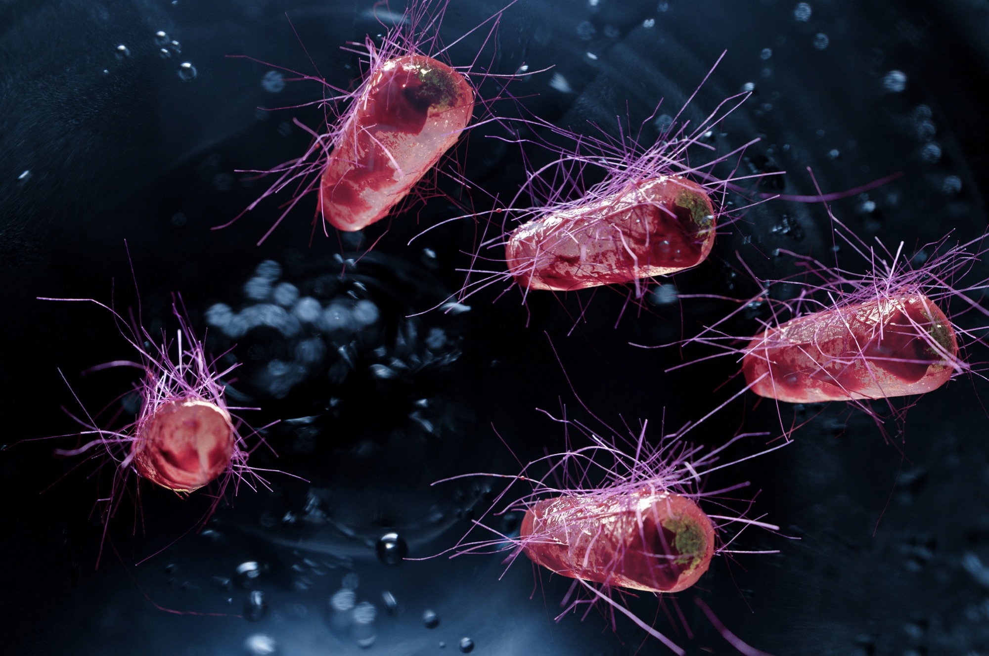 Study: Large-scale characterisation of hospital wastewater system microbiomes and clinical isolates from infected patients: profiling of multidrug-resistant microbial species. Image Credit: Ezume Images / Shutterstock