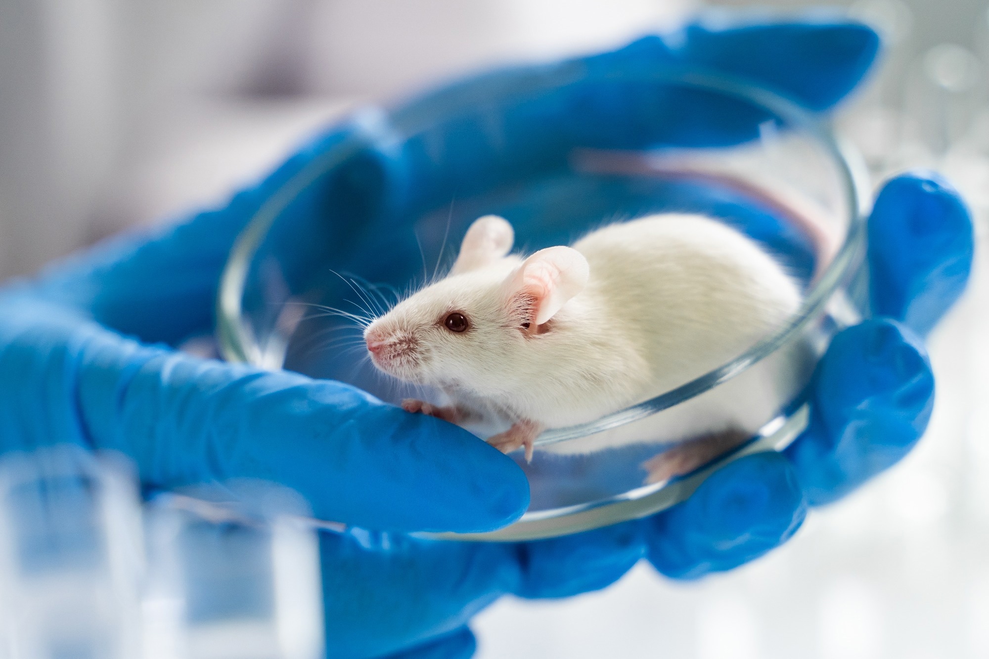 Study: Mismatch repair deficiency is not sufficient to elicit tumor immunogenicity. Image Credit: Egoreichenkov Evgenii/Shutterstock.com