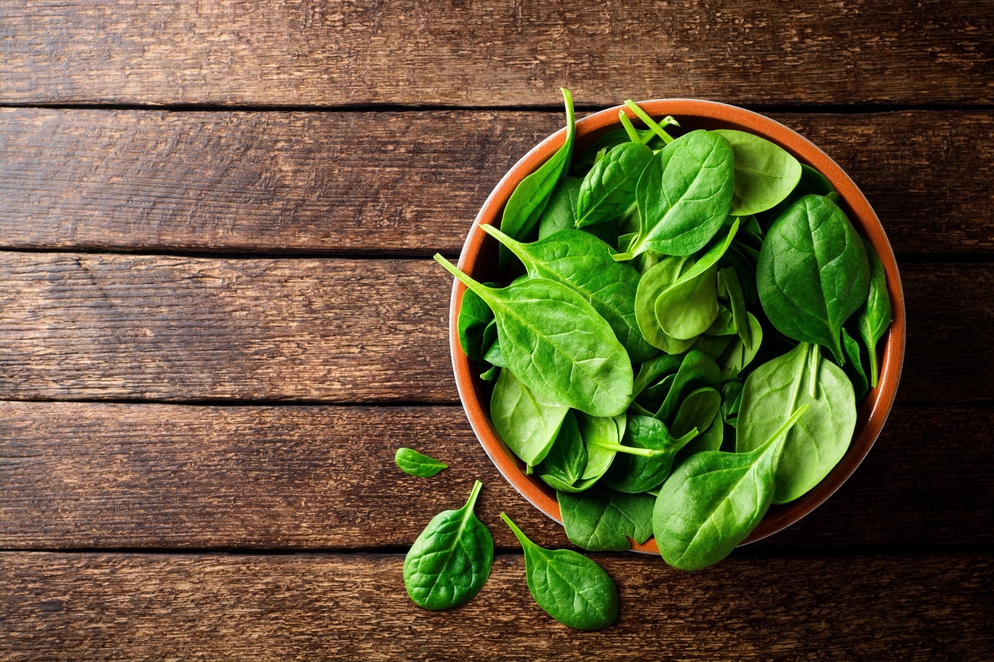Accelerated wound healing induced by spinach extract in experimental model diabetic rats with streptozotocin