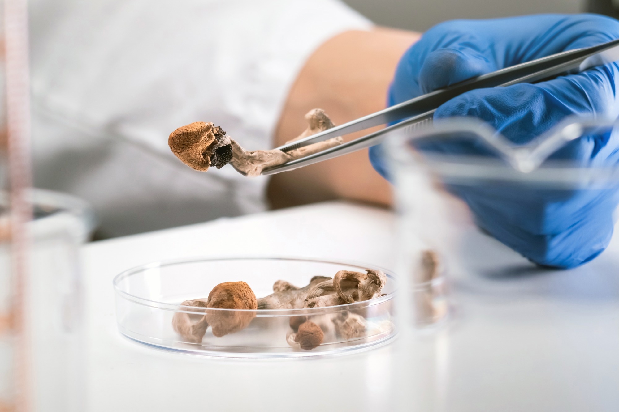Study: Single-Dose Psilocybin Treatment for Major Depressive Disorder. Image Credit: 24K-Production/Shutterstock.com