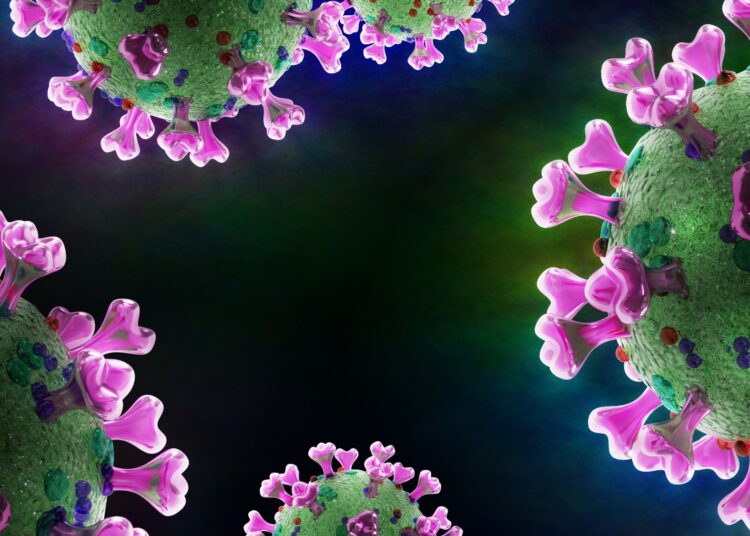 Study: Kinetics and durability of humoral responses to SARS-CoV-2 infection and vaccination. Image Credit: Dotted Yeti / Shutterstock.com