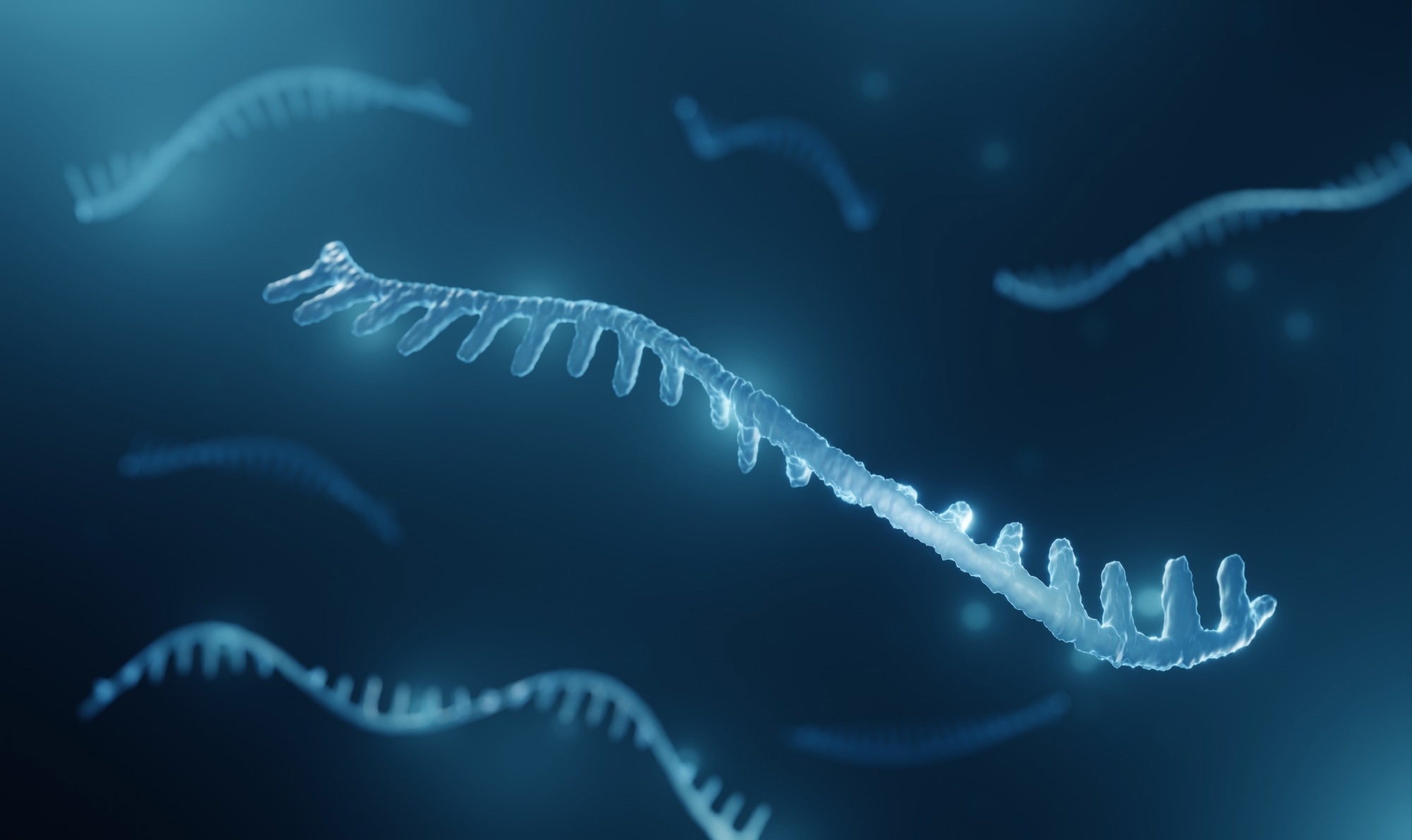 Study: miR-129-5p as a Biomarker for Pathology and Cognitive Decline in Alzheimer