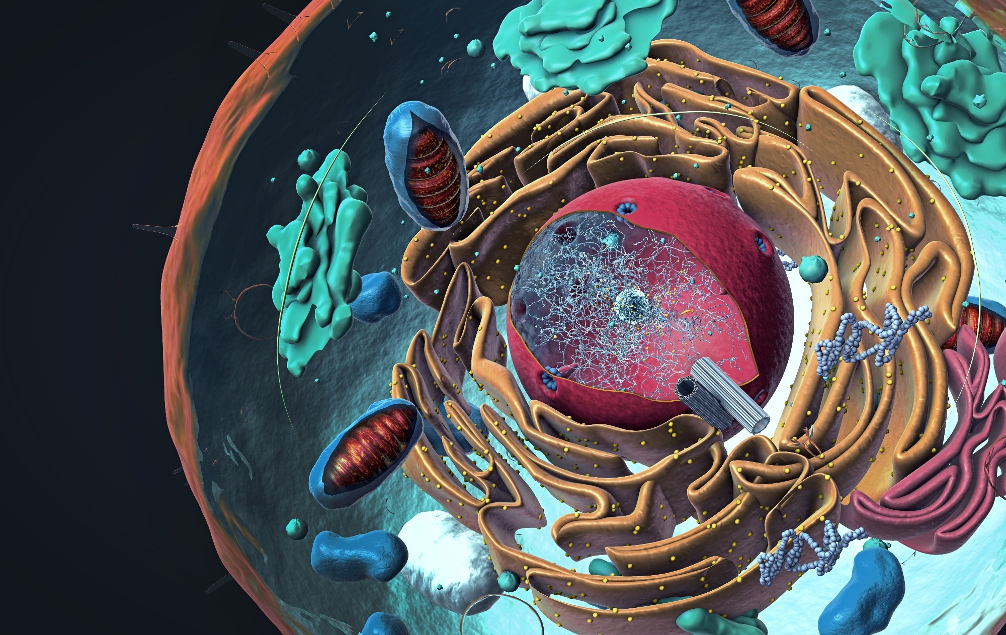 Study: Antidepressants enter cells, organelles, and membranes. Image Credit: Christoph Burgstedt / Shutterstock