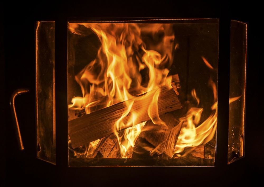 Image Credit: maradon 333/Shutterstock.com