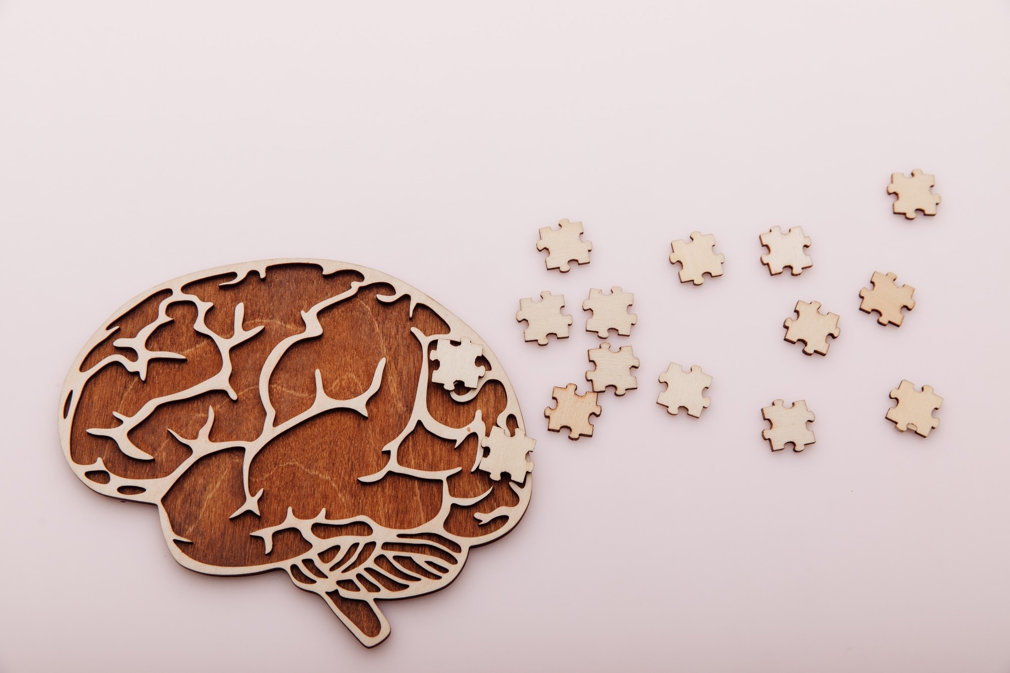 Study: Sex-dependent cholinergic effects on amyloid pathology: A translational study. Image Credit: Burdun Iliya/Shutterstock.com