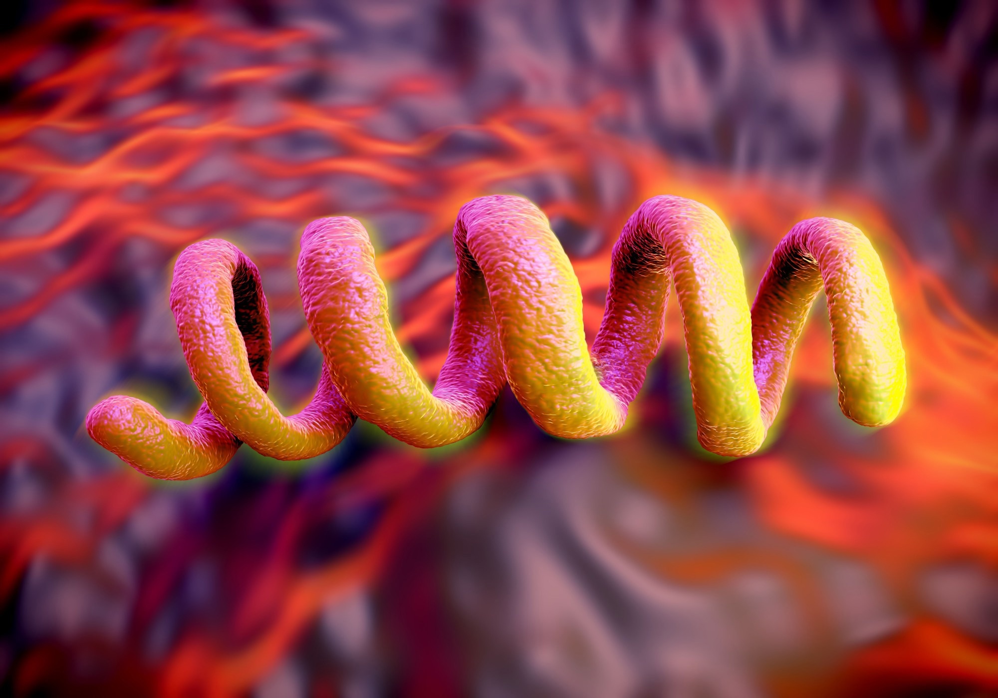 Study: Vital Signs: Missed Opportunities for Preventing Congenital Syphilis — United States, 2022. Image Credit: Peddalanka Ramesh Babu / Shutterstock