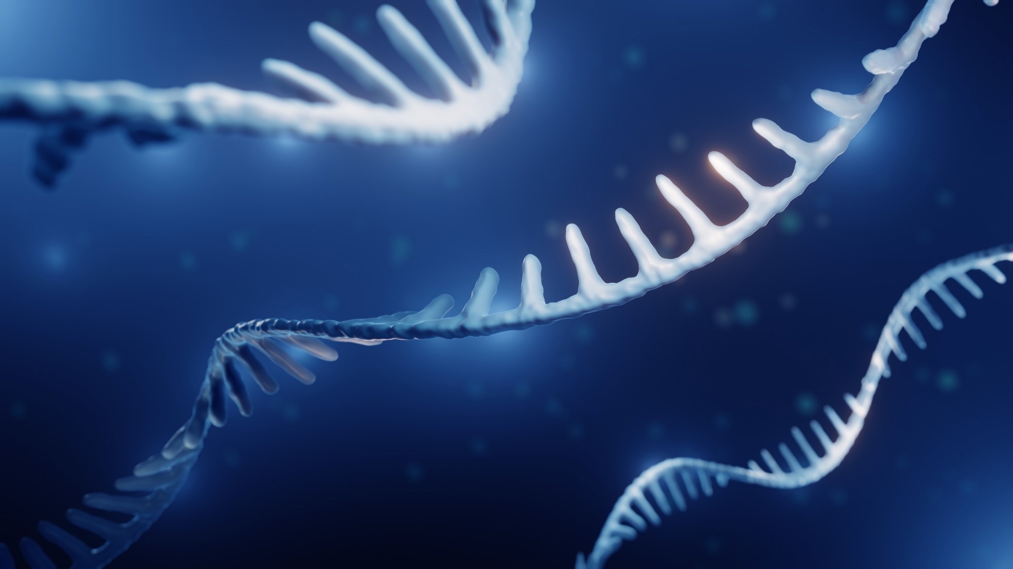 Image of RNA strands