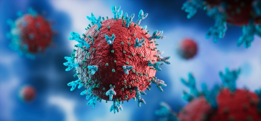 Explorer le double rôle du nirmatrelvir et des bisphosphonates dans le traitement et l'immunité contre le COVID-19