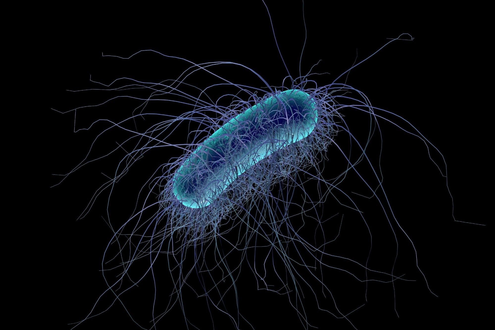 Les agents libérant du chlore en milieu clinique ne parviennent pas à combattre les spores de Clostridioides difficile