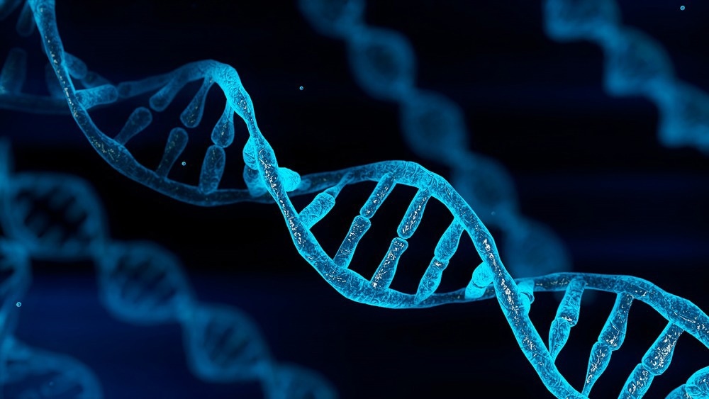 Study: Prevalence of chromosomal alterations in first-trimester spontaneous pregnancy loss. Image Credit: MiniStocker/Shutterstock.com