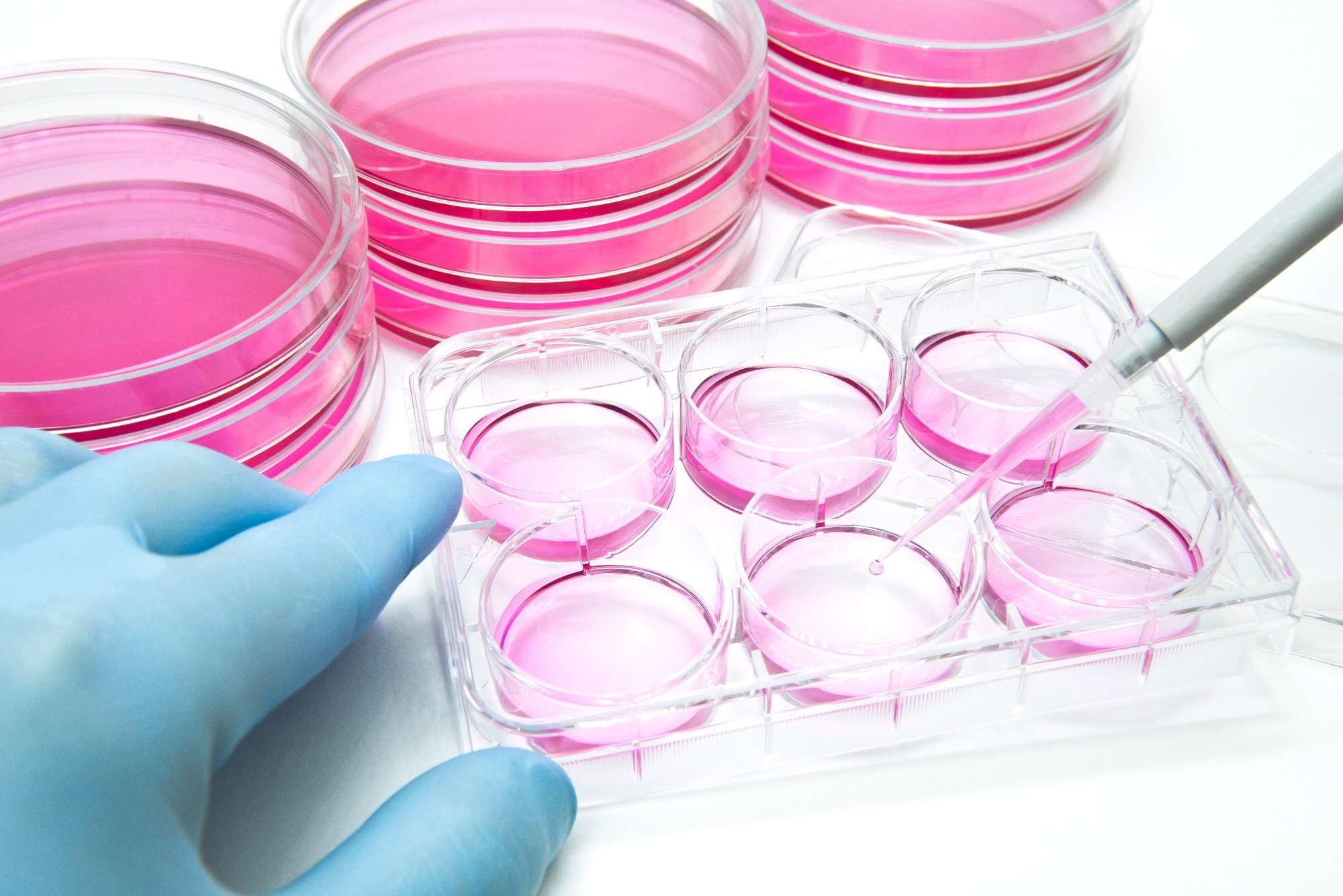 Progerin turbocharge les modèles cellulaires pour un dépistage plus rapide des médicaments