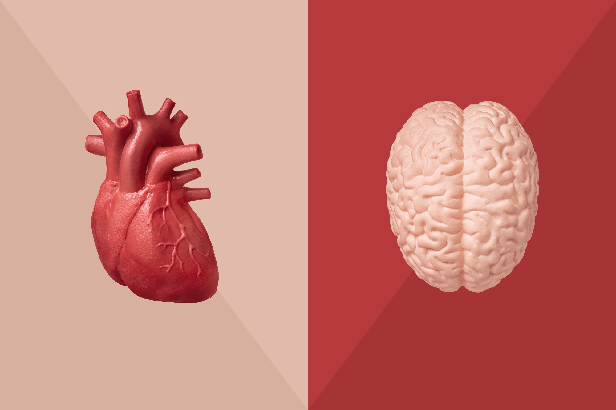 Tendances de la mortalité cardiovasculaire chez les patients atteints de la maladie d'Alzheimer aux États-Unis