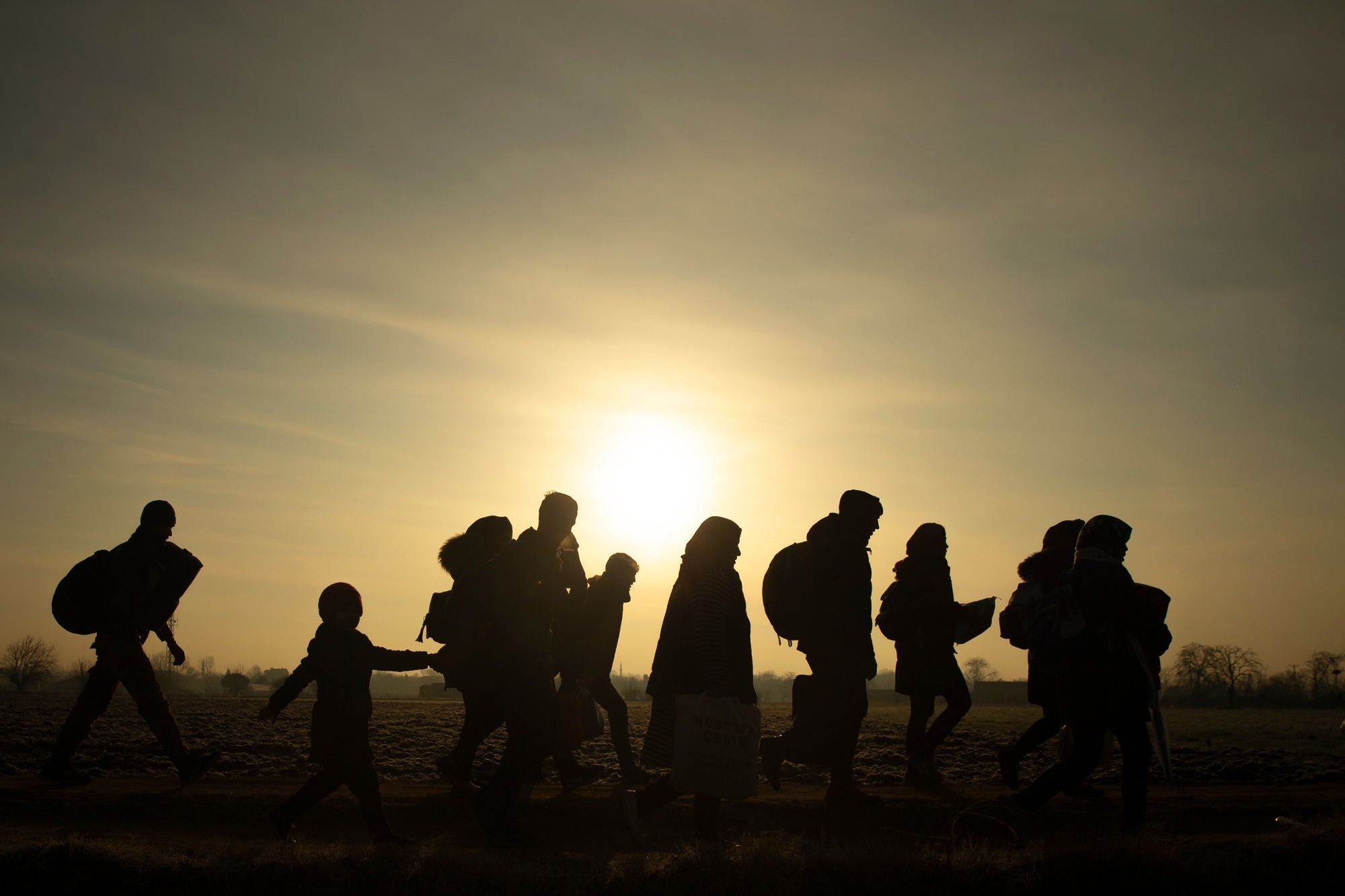 Un nouveau programme de recherche sur la santé, la migration et le déplacement par l'Organisation mondiale de la santé