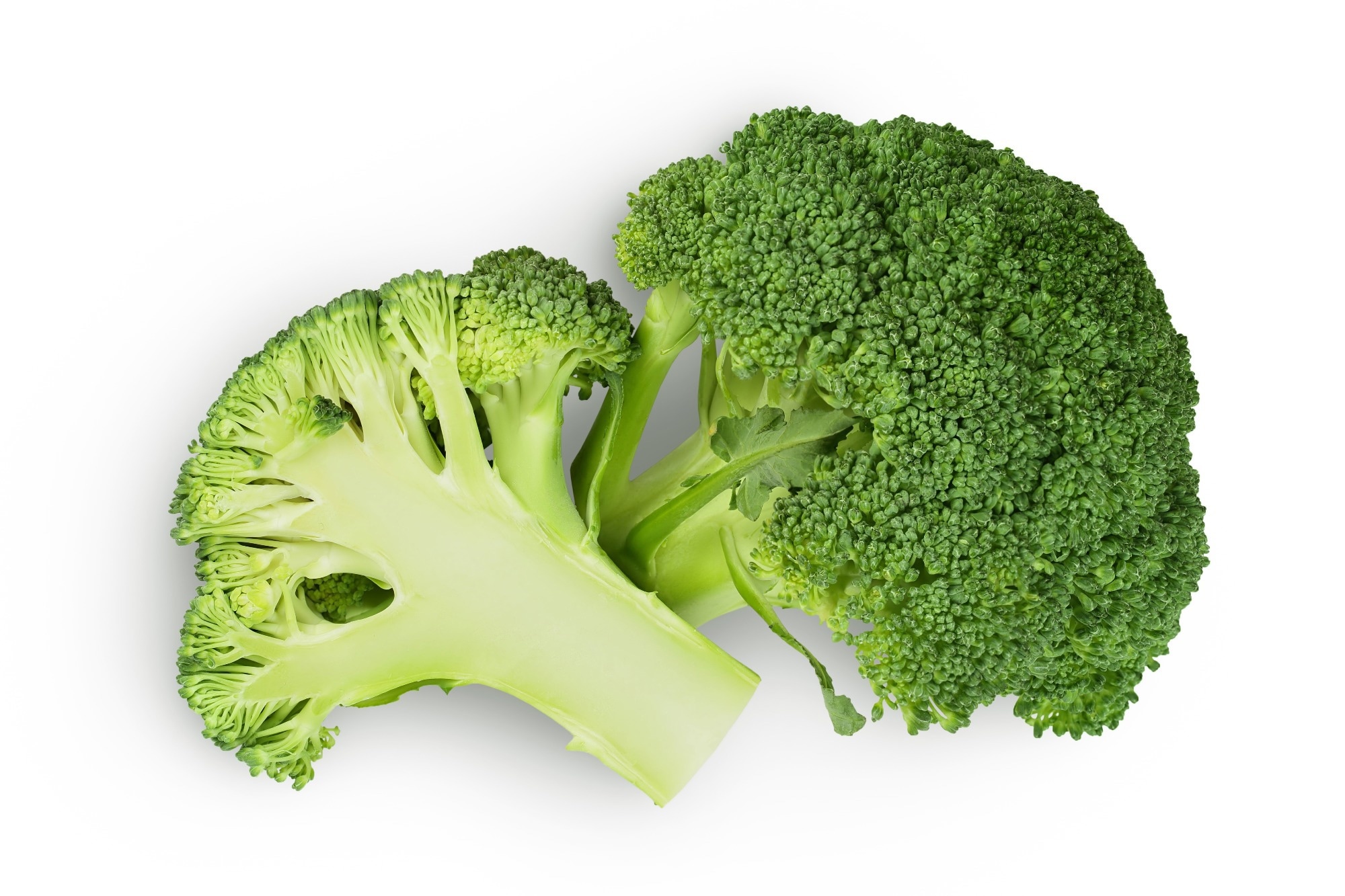 ​​​​​​​Study: Early life exposure to broccoli sprouts confers stronger protection against enterocolitis development in an immunological mouse model of inflammatory bowel disease. Image Credit: Nataly Studio/Shutterstock.com