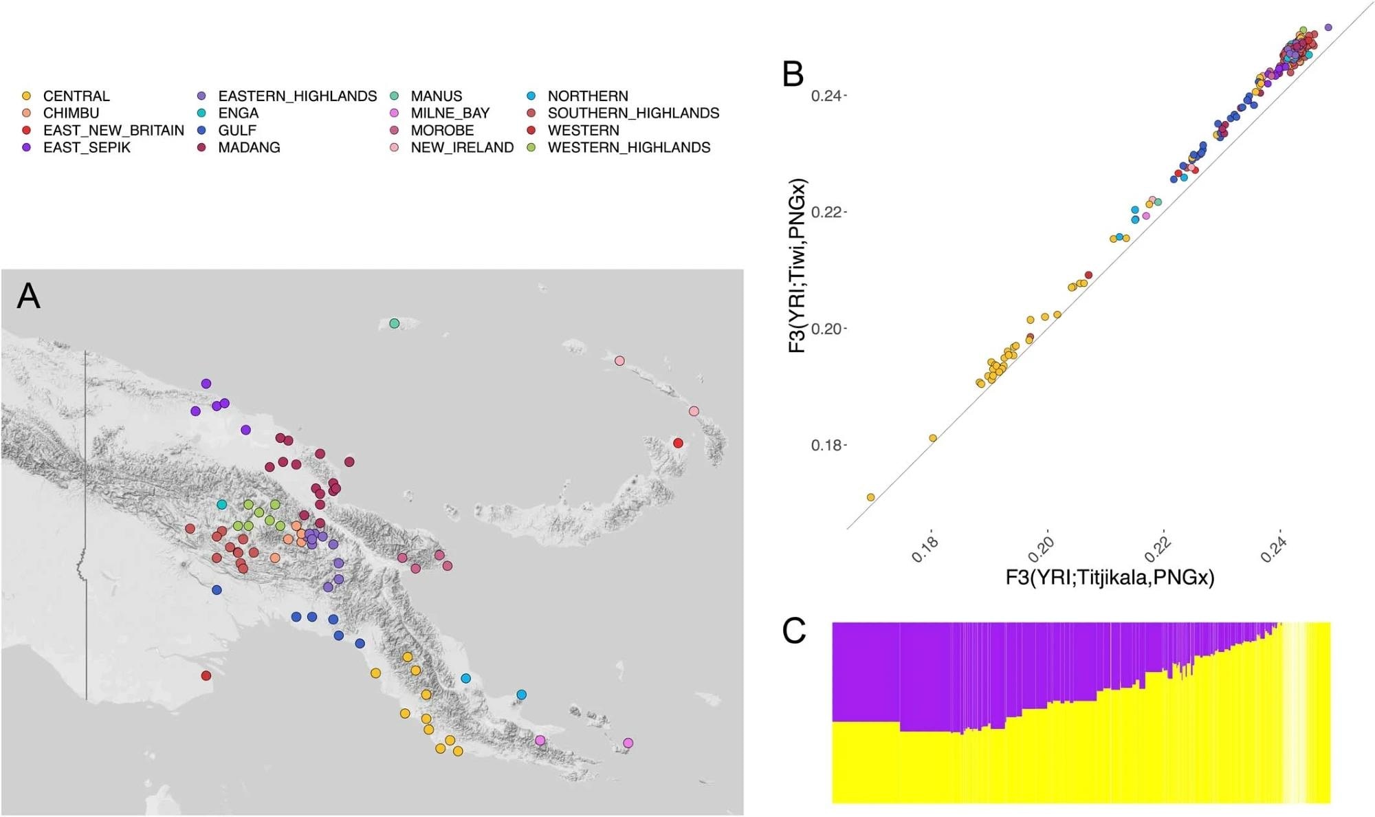 Carte montrant les emplacements de toutes les populations échantillonnées dans l'ensemble de données de Bergstrom et al.  (2017), avec code couleur indiquant la province régionale.  (En haut à droite) Nuage de points des valeurs des statistiques hors-groupe F3 de la forme F3 (Yoruba ; Titjikala, PNG-X) par rapport à F3 (Yoruba ; Tiwi, PNG-X), où « PNG-X » est un individu PNG dans l'ensemble de données décrit. par Bergström et al.  (2017).  Les couleurs représentent le lieu d'échantillonnage de l'individu PNG (voir la carte à gauche).  (En bas à droite) Graphique à barres ADMIXTURE montrant les estimations putatives de l'ascendance mondiale PNG (jaune) et non-PNG (violet) pour chacun des individus dans le nuage de points ci-dessus.  Les individus dans le barplot sont affichés dans le même ordre de gauche à droite que dans le nuage de points.