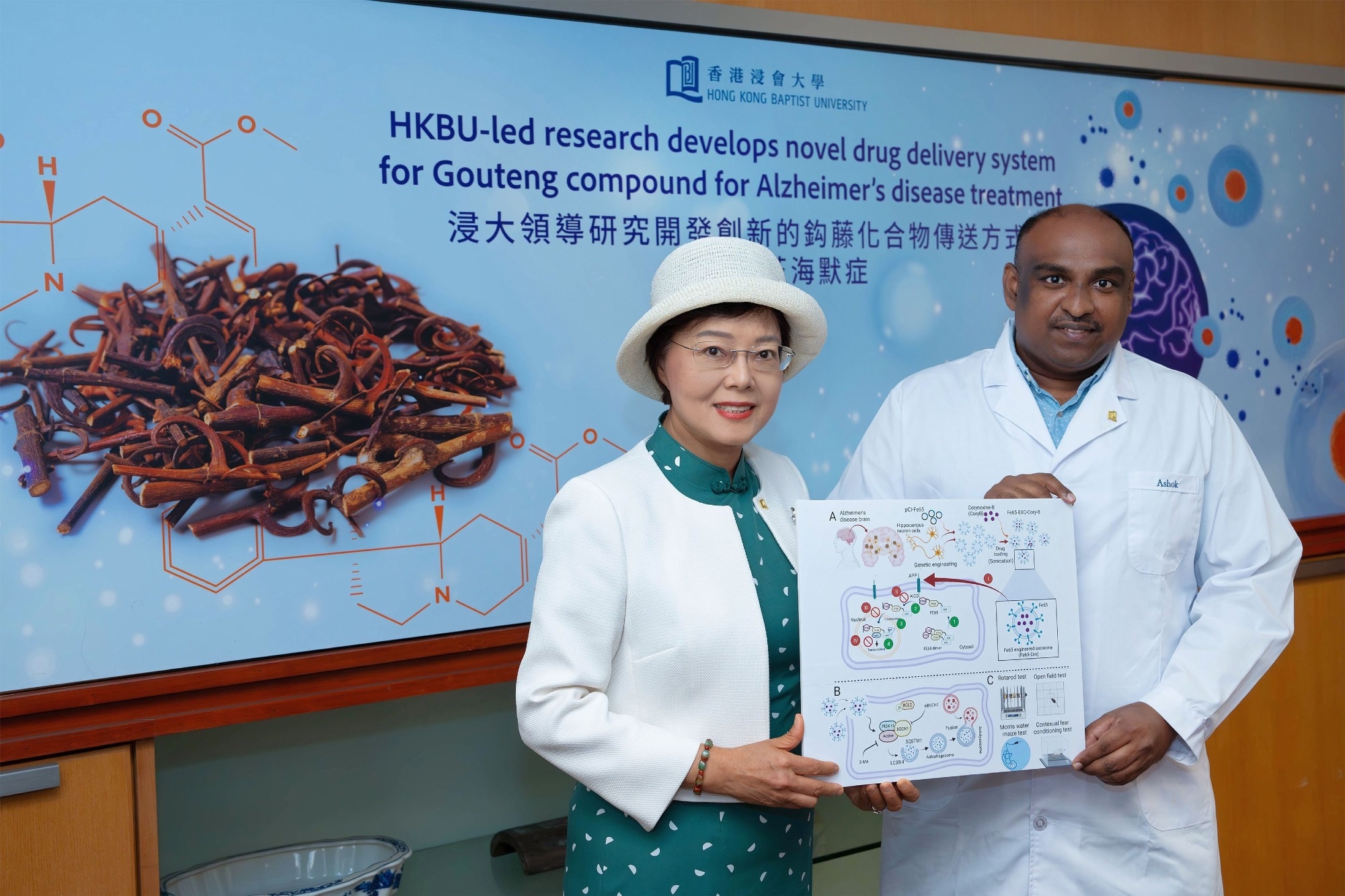 Researchers develop novel exosome-based drug delivery system to treat Alzheimer