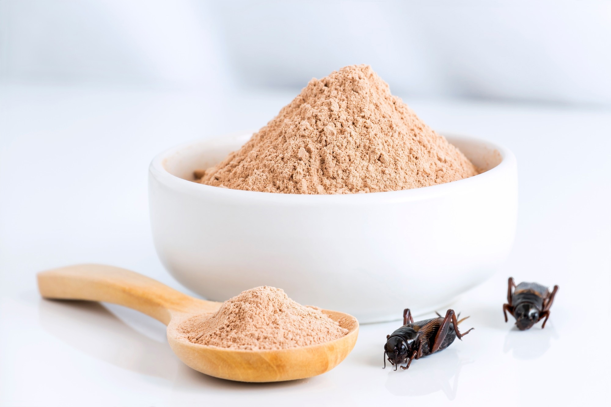 Study: The Acceptance of Cream Soups with the Addition of Edible Insects (Mealworm, T. molitor; House Cricket, A. domesticus; Buffalo Worm, A. diaperinus; Grasshopper, R. differens) among Young People and Seniors in Poland. Image Credit: nicemyphoto/Shutterstock.com
