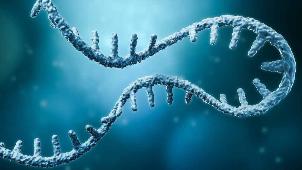 Study: N1-methylpseudouridylation of mRNA causes +1 ribosomal frameshifting. Image Credit: MattL_Images/Shutterstock.com